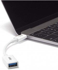 AmazonBasics Type-C to USB 3.1 adapter