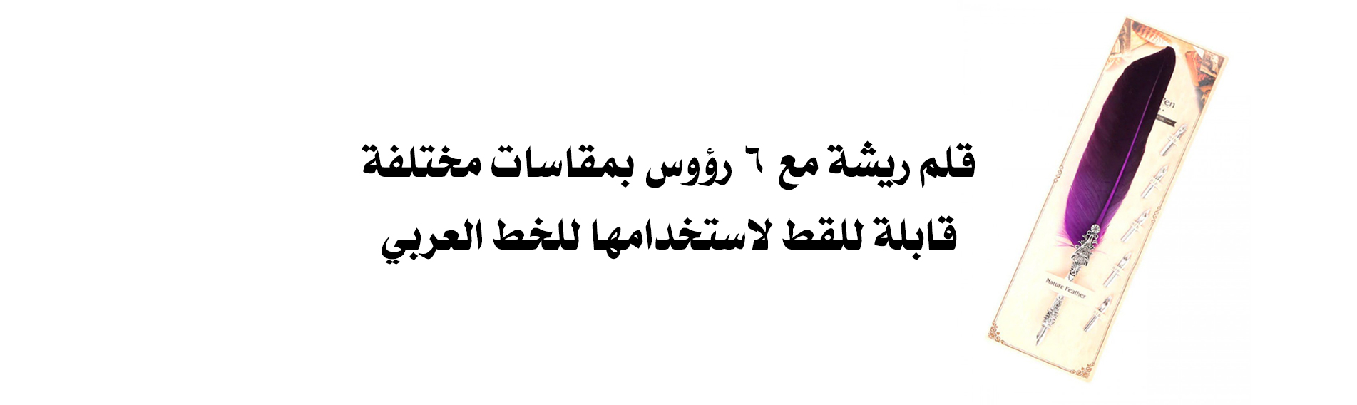 قلم ريشة مع 6 رؤوس